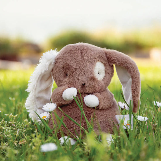 Baby Harriet Hare Bunny Plush