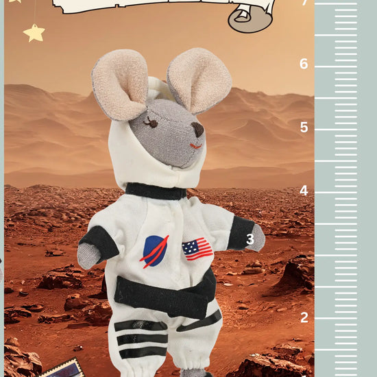 Levlovs Astronaut Mouse in a Box