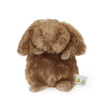 Wee Brownie Bunny