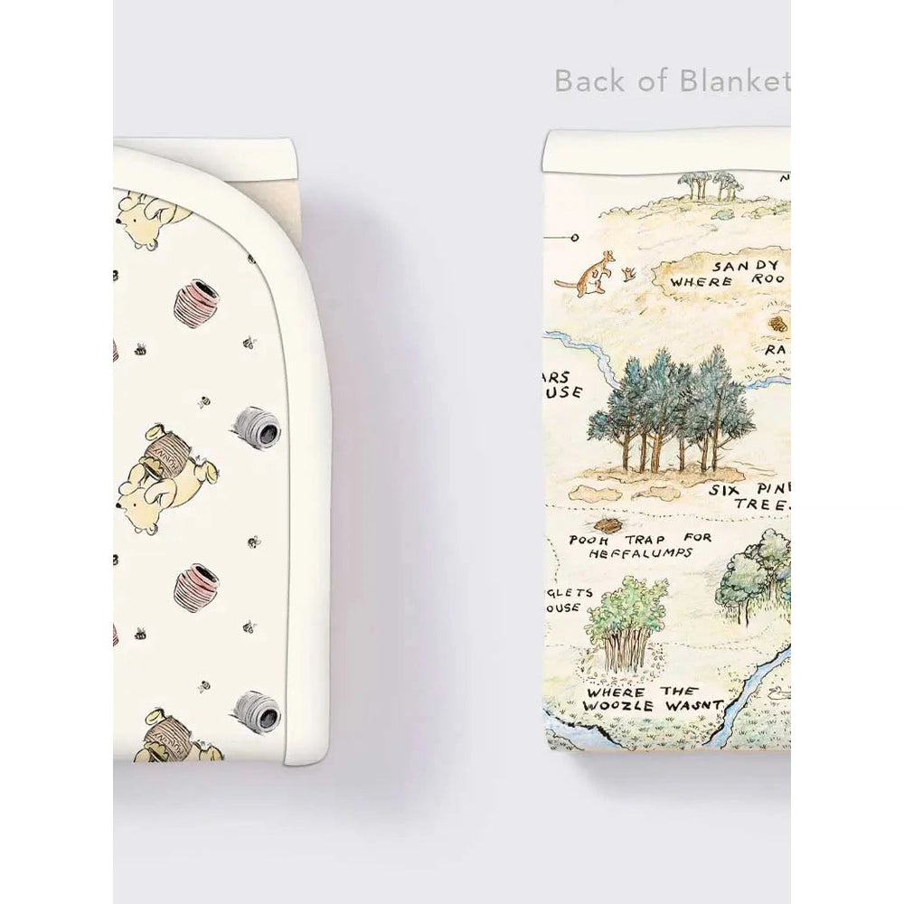 Winnie The Pooh Bamboo Blanket