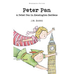 Peter Pan Paper Cover Book