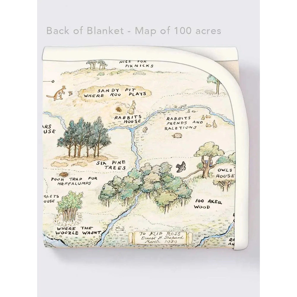 Winnie The Pooh Bamboo Blanket