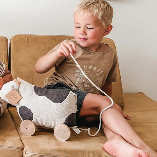 Willow Pull Along Toy
