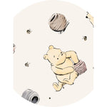 Pooh Bear Onesie