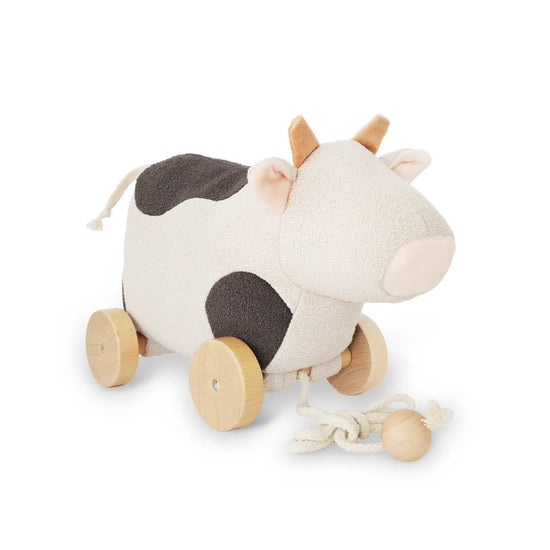 Willow Pull Along Toy