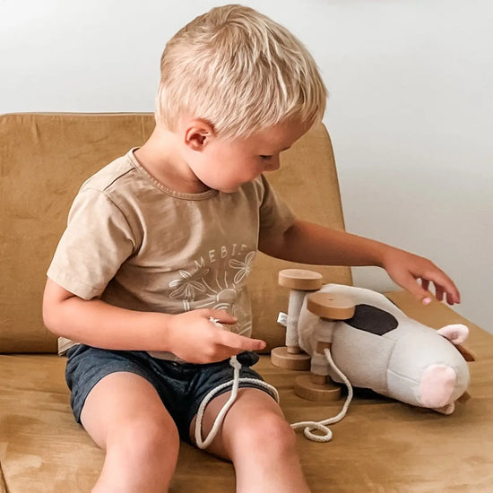 Willow Pull Along Toy