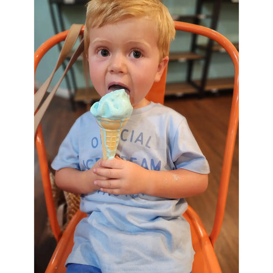 Official Ice Cream Taster Kids Tee
