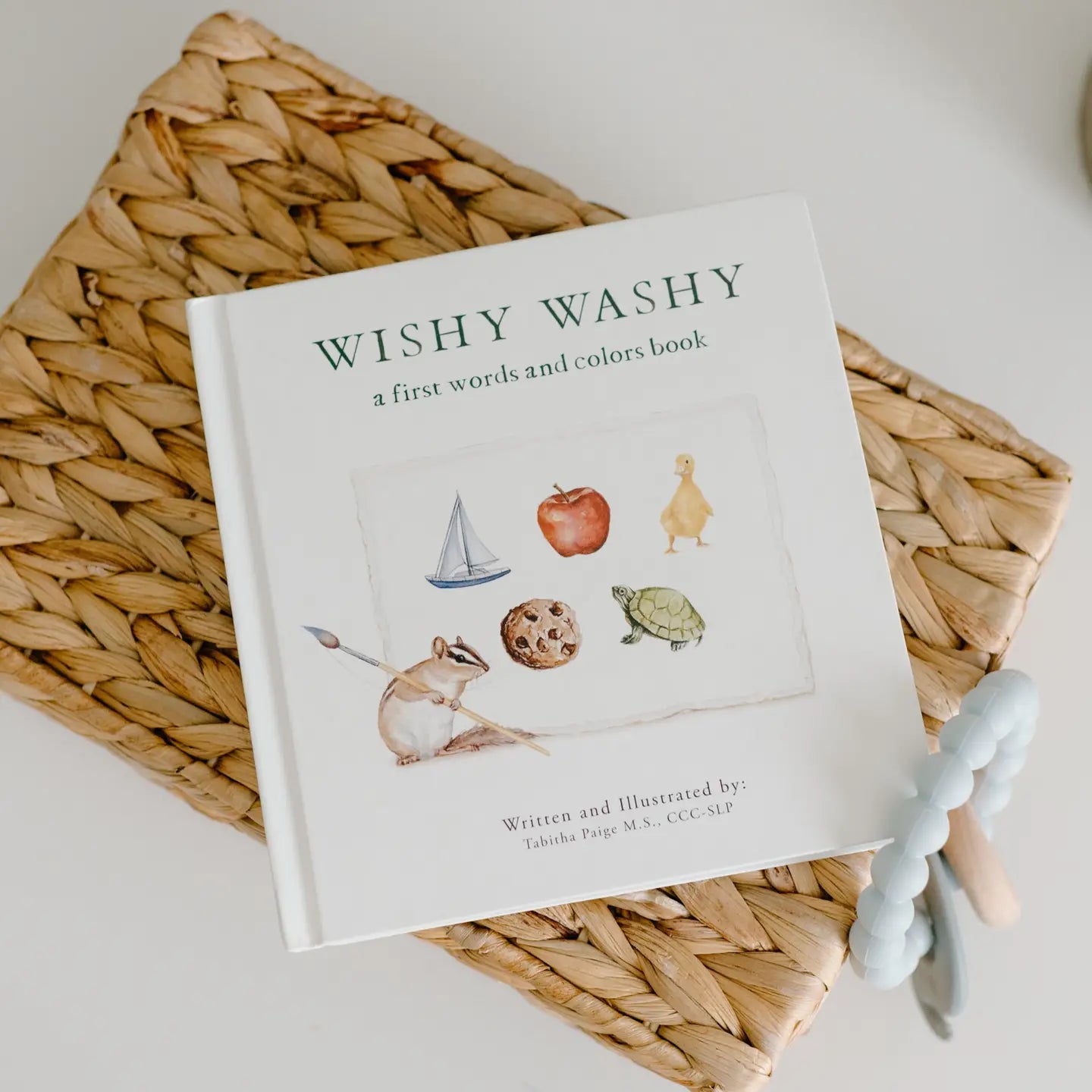 Wishy Washy: A Board Book of First Words & Colors