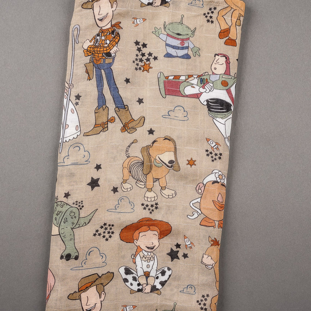 Round Up Gang Swaddle