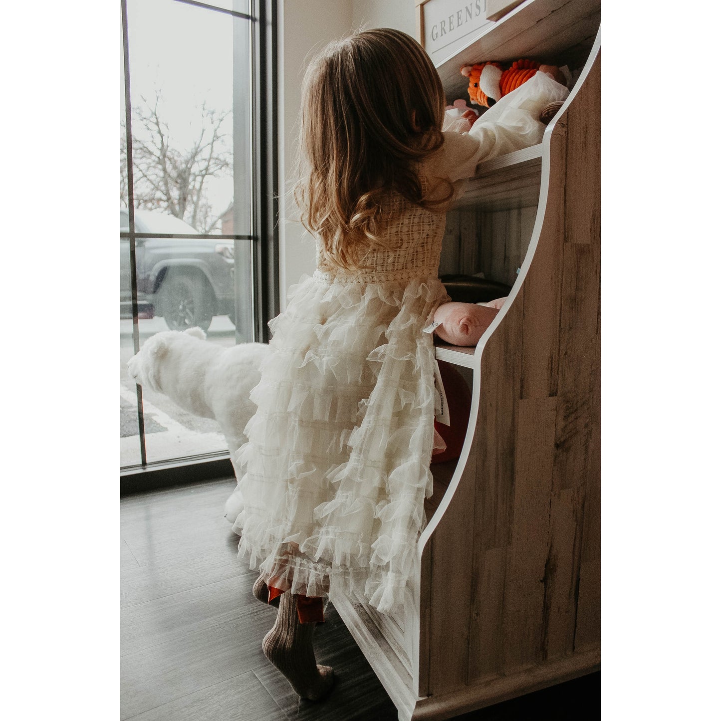 Vintage Victorian Gown