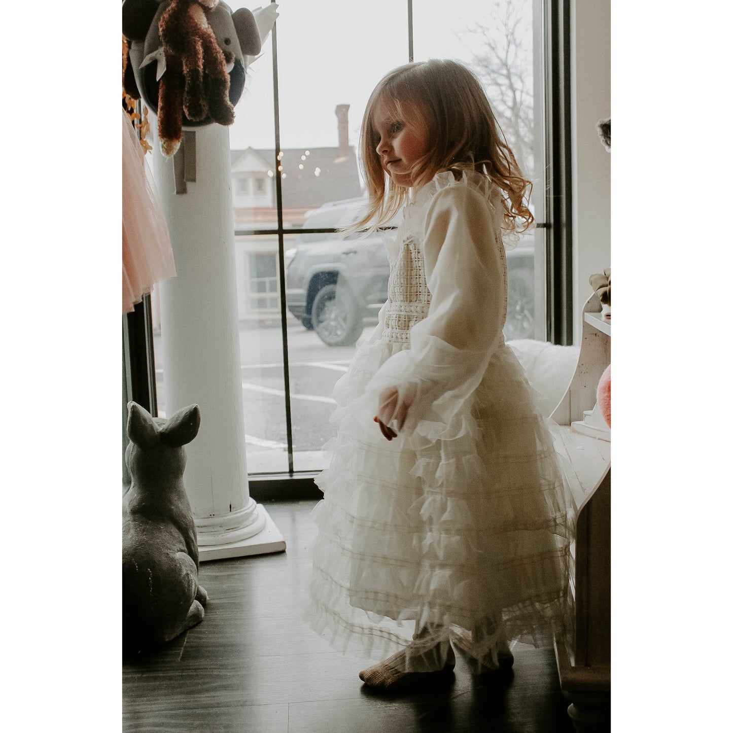 Vintage Victorian Gown