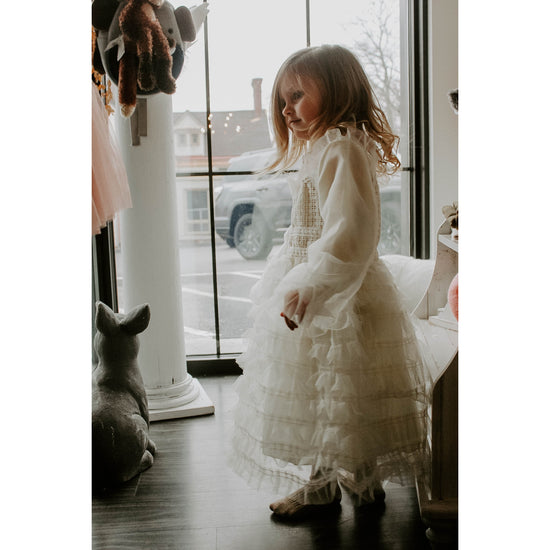 Vintage Victorian Gown